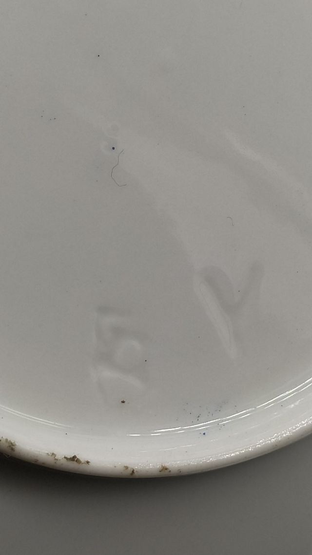 Platos de Castro azul y dorado