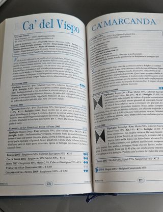 Libro guida ai vini d.italia