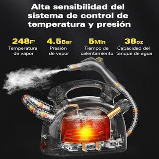 Waitbird Limpiador de vapor multiuso 