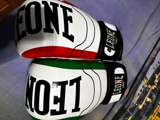 Guantoni Leone da boxe L/10