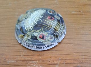 6 placas cava criaturas marinas