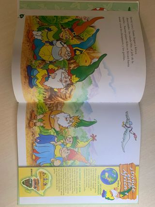 LIBRO “EL NUEVO MUNDO DE LOS GNOMOS”