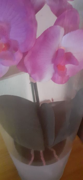 Jarrón orquidea vintage