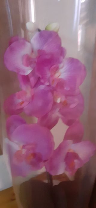 Jarrón orquidea vintage