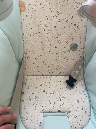 Hamaca Jane Evolution