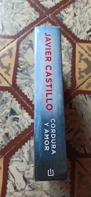 Amor y Cordura (El día que se perdió la cordura | El día que se perdió el amor)