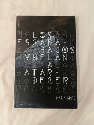 Los escarabajos vuelan al atardecer libro