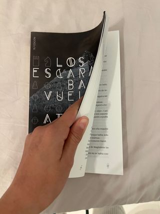 Los escarabajos vuelan al atardecer libro