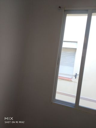 Pintor Autonomo