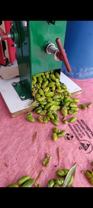 Maquina casera de partir aceitunas