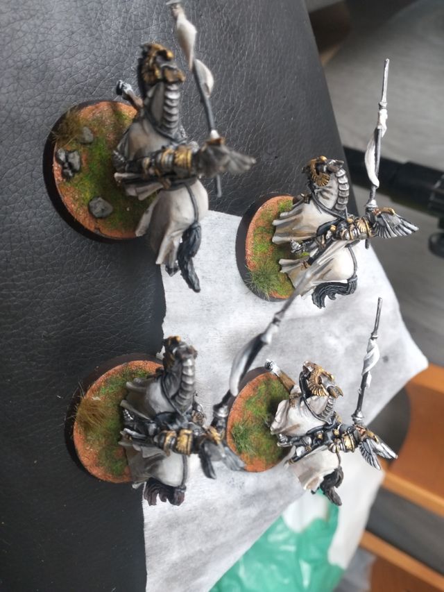 Warhammer ESDLA Dol Amroth