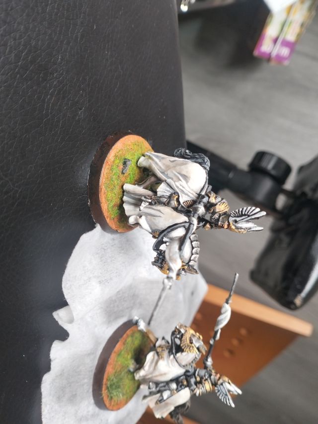 Warhammer ESDLA Dol Amroth