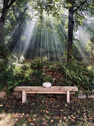 Bancos de madera rusticos