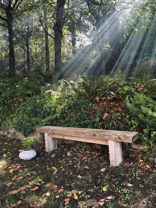 Bancos de madera rusticos