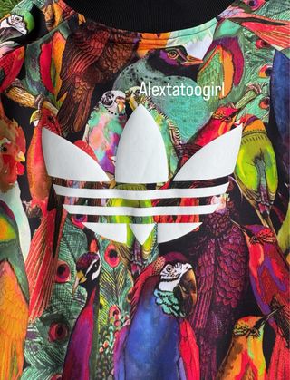 Chaqueta Adidas Passaredo Xs 