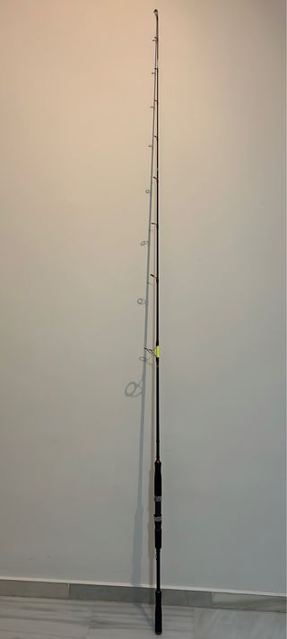 Caña de pesca jigging