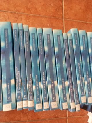 Lote de libros clásico