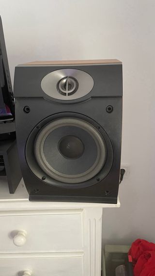 PAREJA DE ALTAVOCES BOSE SERIE 301 V MARRON