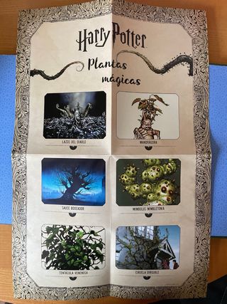 Harry Potter Cine mágico Wizarding World Volumen 2