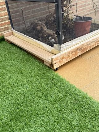 Terrario camaleon 60x60x120