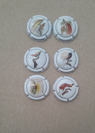 6 placas Aus del Paradis