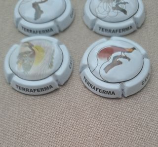 6 placas Aus del Paradis