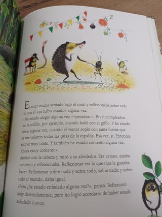 ¿No hay nadie enfadado? (Spanish Edition)