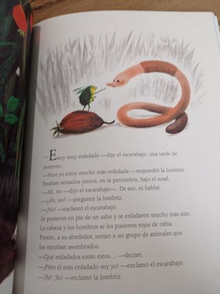 ¿No hay nadie enfadado? (Spanish Edition)