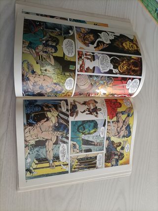 Conan el bárbaro, novela gráfica.