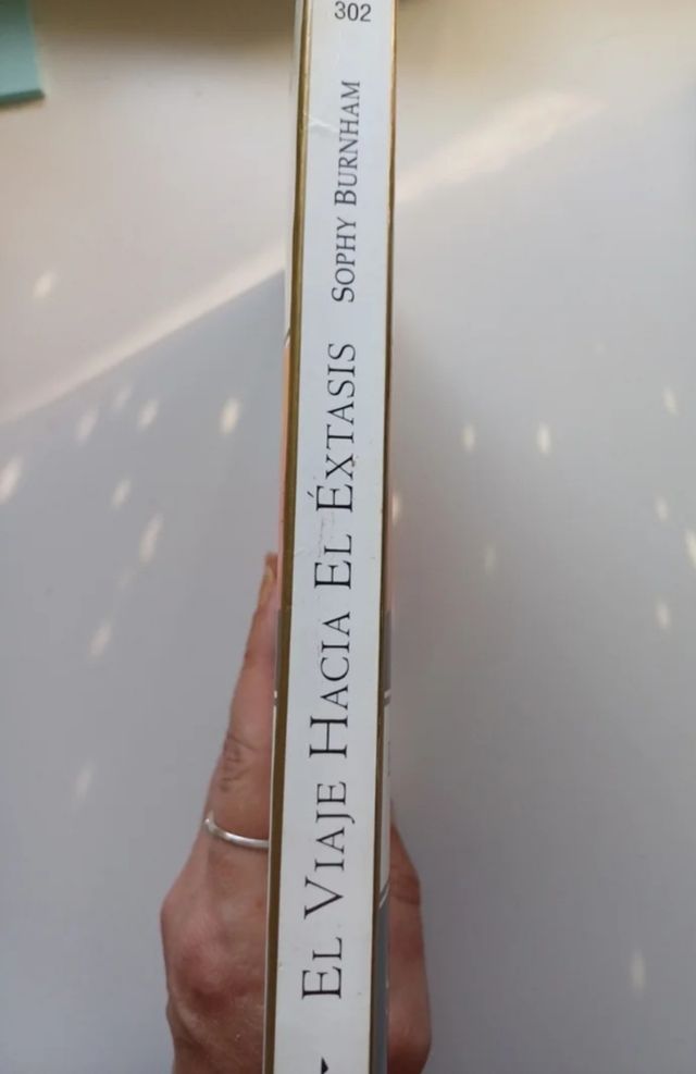 El viaje hacia el éxtasis - Sophy Burnham