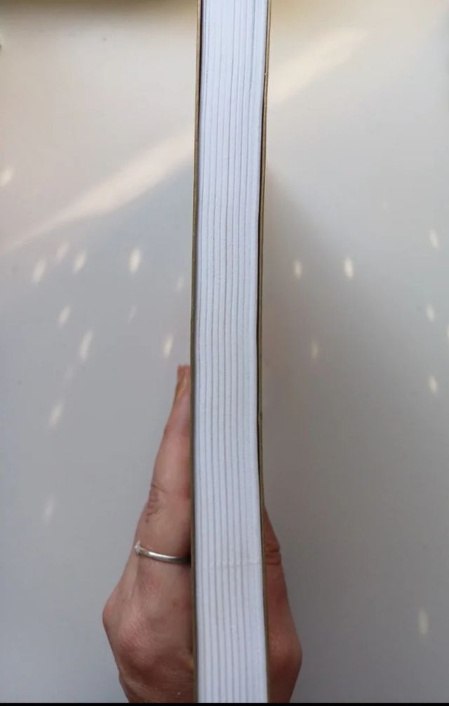 El viaje hacia el éxtasis - Sophy Burnham