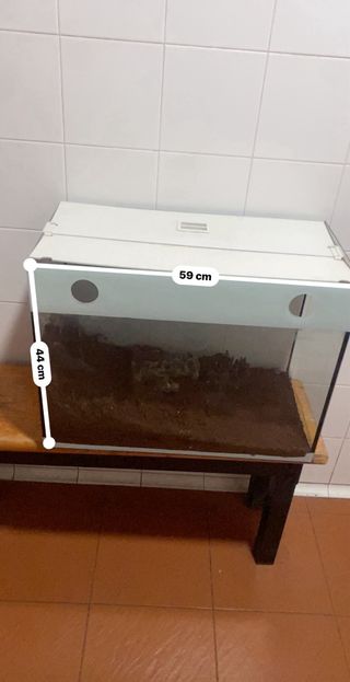 Acuario terrario