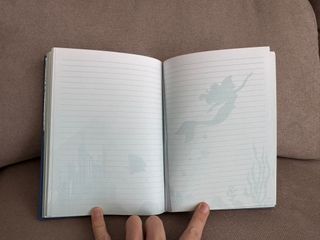 Diario póster película La Sirenita