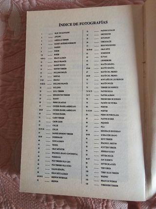 Mi Amigo El Perro/ My Friend the Dog: Conocerlo...