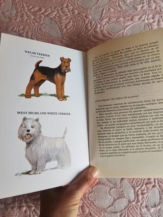 Mi Amigo El Perro/ My Friend the Dog: Conocerlo...