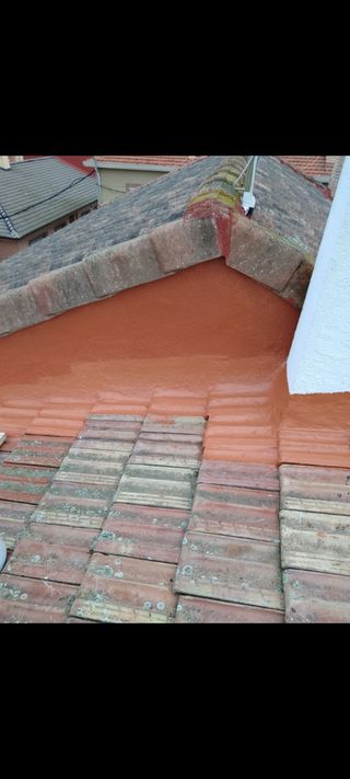 GOTERAS EN TEJADO, REPARACIÓN, ELIMINAR LAS GOTERA