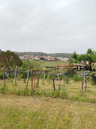 Venta de vivienda y finca