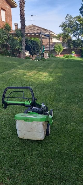 Jardinero profesional