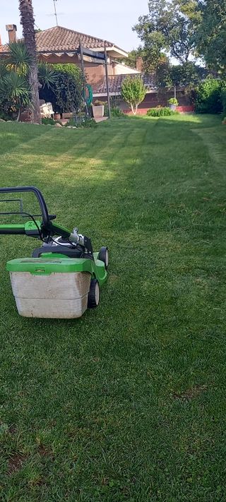 Jardinero profesional