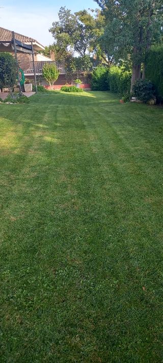 Jardinero profesional