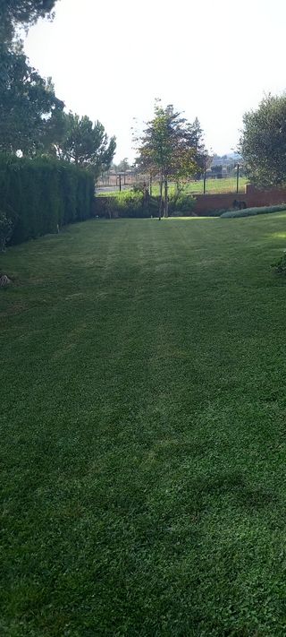 Jardinero profesional