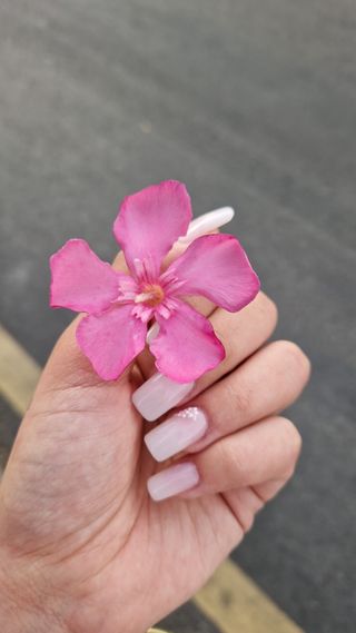 Esteticista villalbilla/alcala de henares