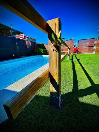 Alquiler de parcela con piscina y casa 