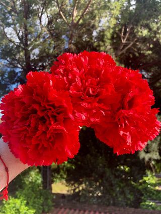 Ramillete de 3 clavelea rojos