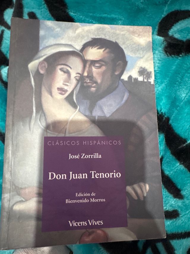 Don Juan Tenorio (clasicos Hispanicos)