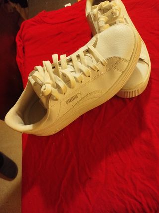 Puma plataforma