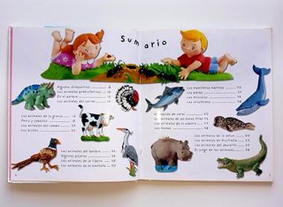 Palabras De Los Animales