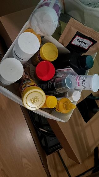 Acuario completa vivo