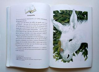 Estampas De Platero Y Yo N/c