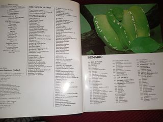 Historia Natural, Vertebrados